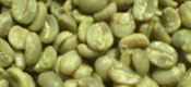 Green Coffee