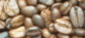 Roasted Coffee