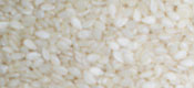 Sesame Seeds